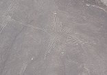 Hummingbird, Nazca